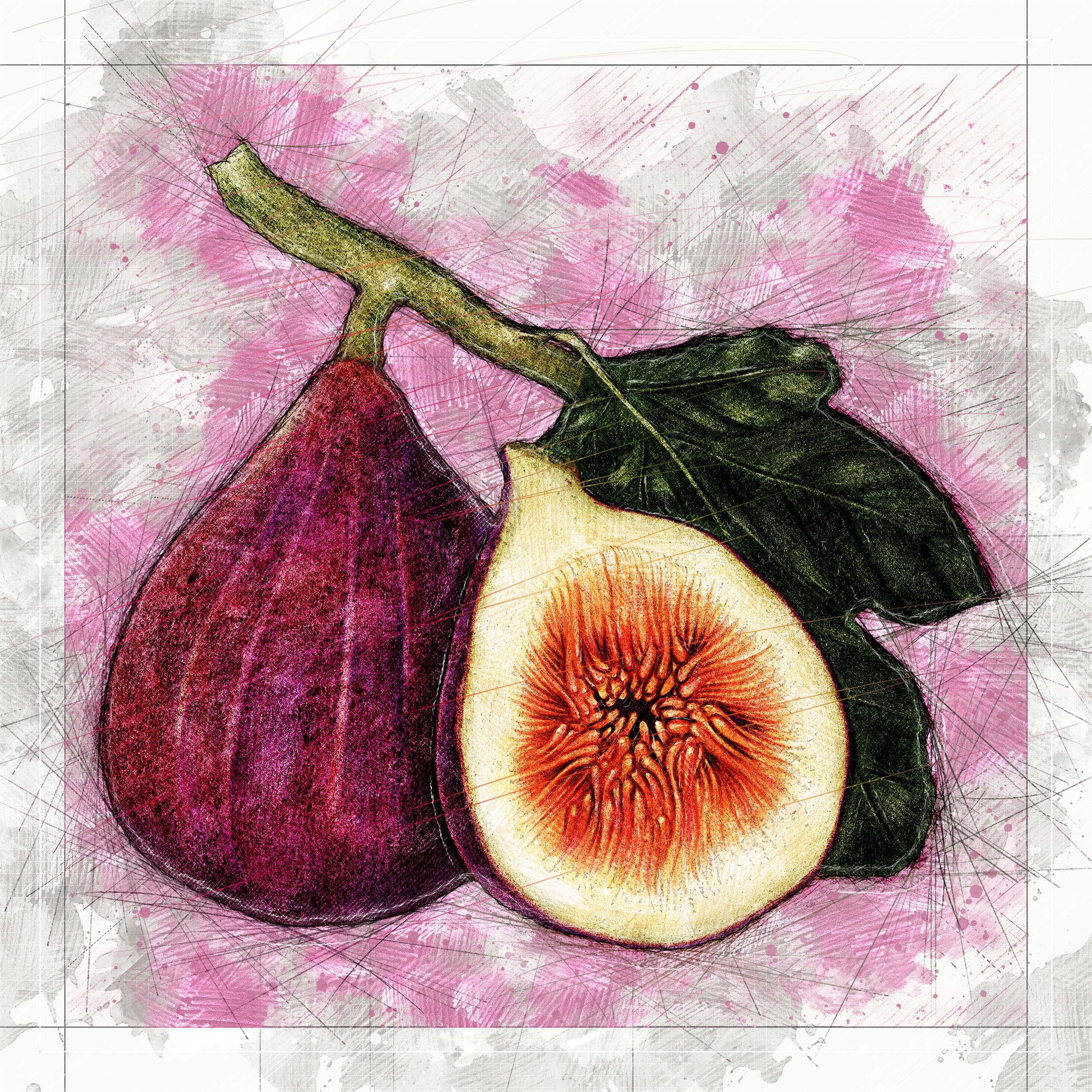 Hand drawn fig fruit sticker design element